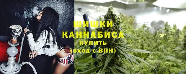 PSILOCYBIN Абдулино