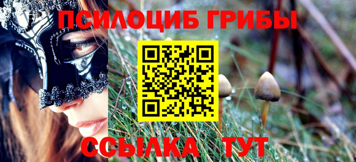 Псилоцибиновые грибы прущие грибы  Псилоцибиновые грибы Psilocybe  Краснодар  Вход с VPN 